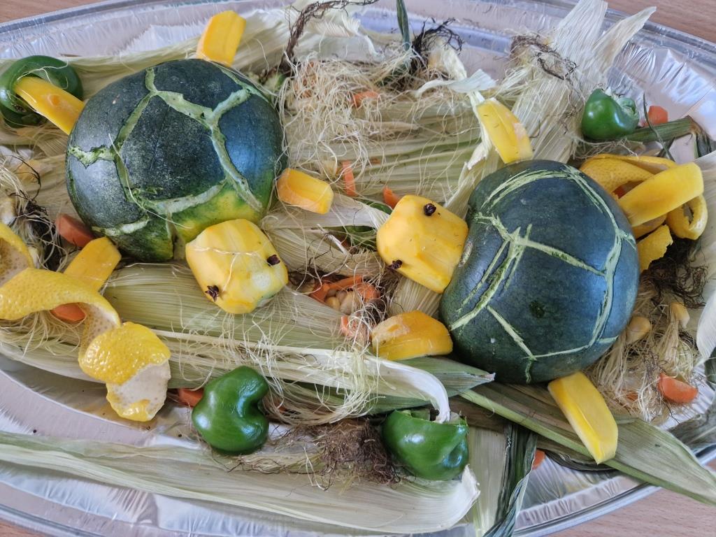 IEGRIEZ SAULI MIĶEĻOS