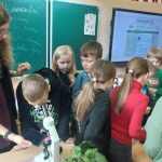 Koksngrauži Sēlijas novadā