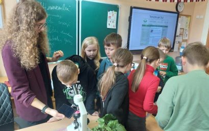 Koksngrauži Sēlijas novadā