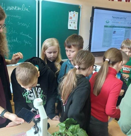 Koksngrauži Sēlijas novadā