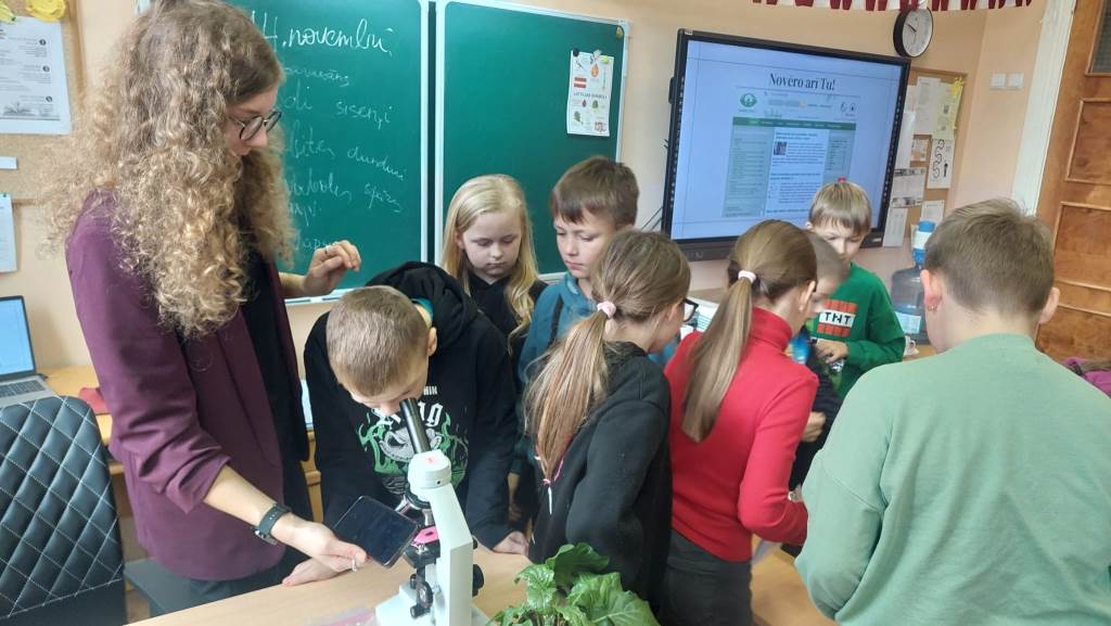 Koksngrauži Sēlijas novadā Koksngrauži Sēlijas novadā